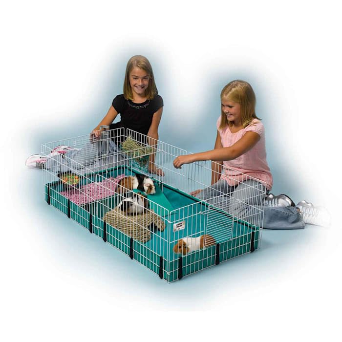 Ferret.Com Midwest Guinea Habitat